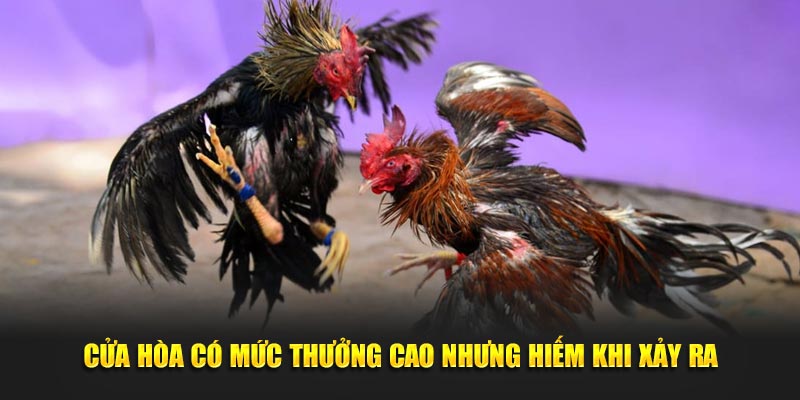 Cửa hòa có mức thưởng cao nhưng hiếm khi xảy ra