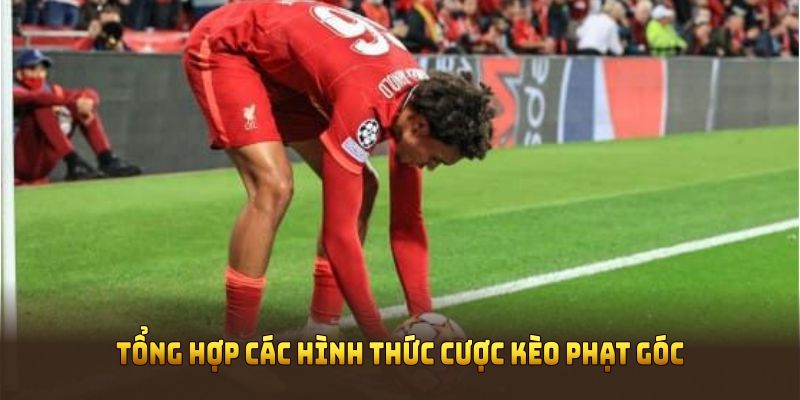 Tổng hợp các hình thức cược kèo phạt góc cơ bản