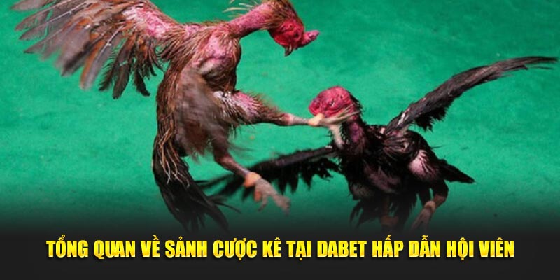 Tổng quan về sảnh cược kê tại Dabet hấp dẫn hội viên